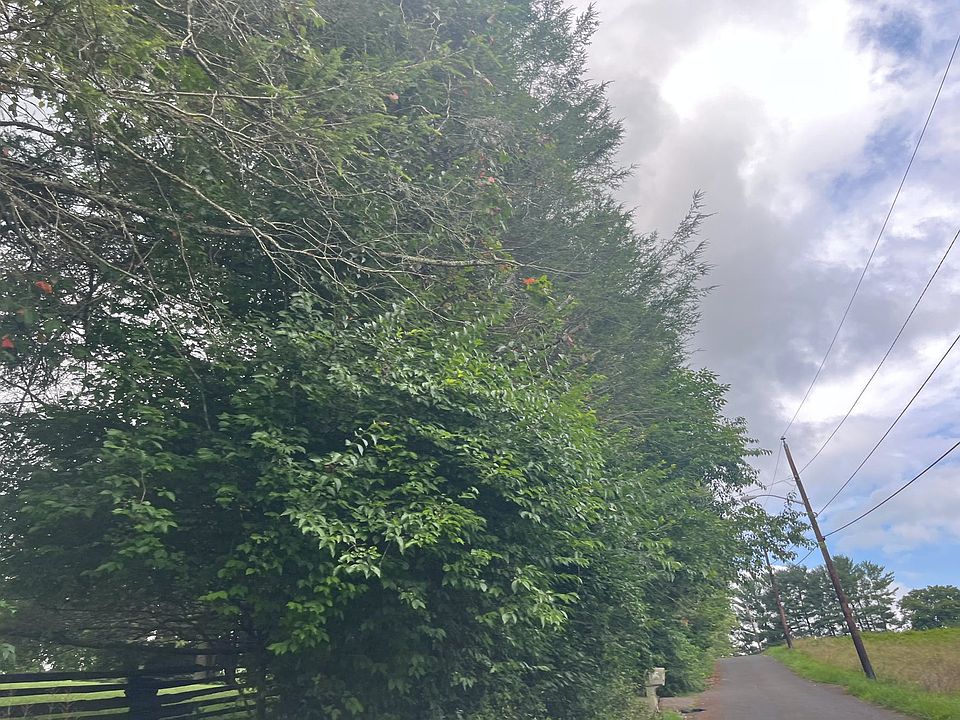 2nd image of 1524 Alum Spring Rd