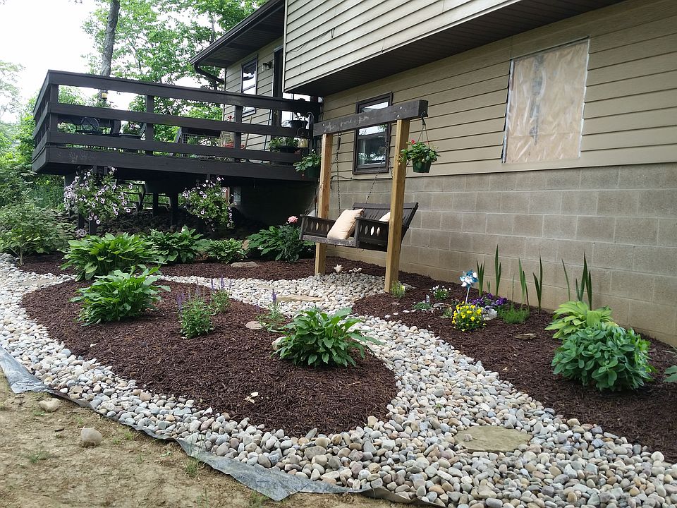 Yard has filled in since photo