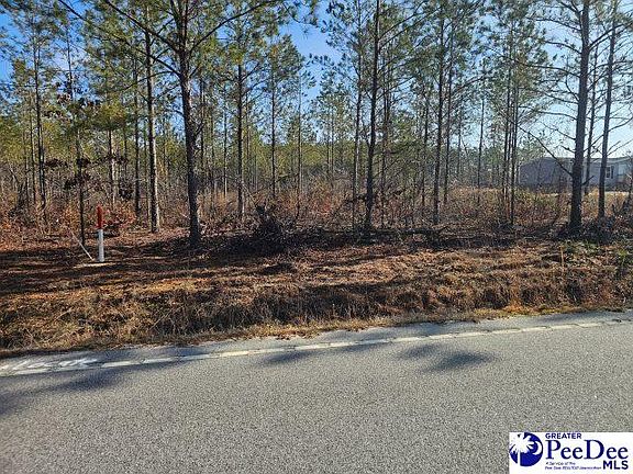 2nd image of 4067 Step Rd