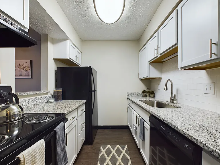 Emerson Village — Photo 1