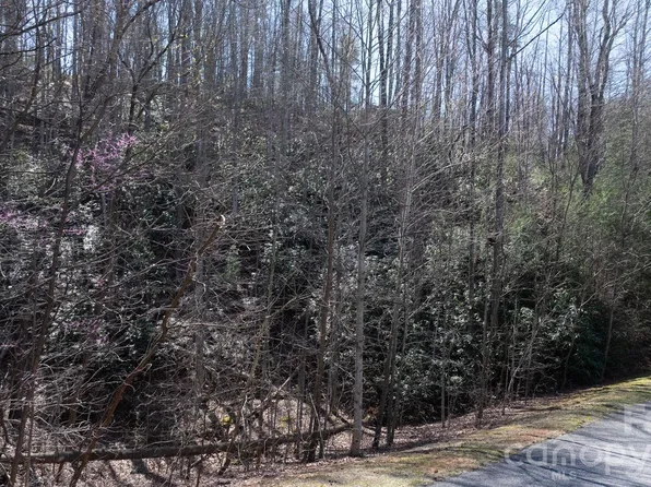 27-11 High Trail Dr, Nebo, NC 28761