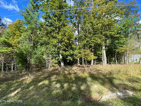 2nd image of 112 Hanning Dr