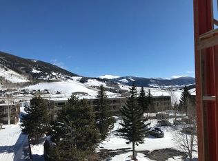 235 E Labonte Dr #306, Dillon, CO 80435