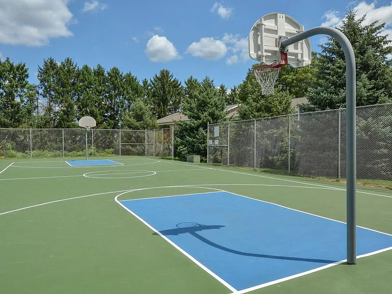 Basketball Court
