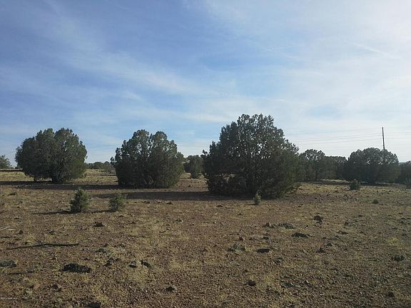 3rd image of 6300 N Mangas Dr