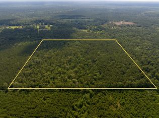 Webb Spikes Rd, Merryville, LA 70653