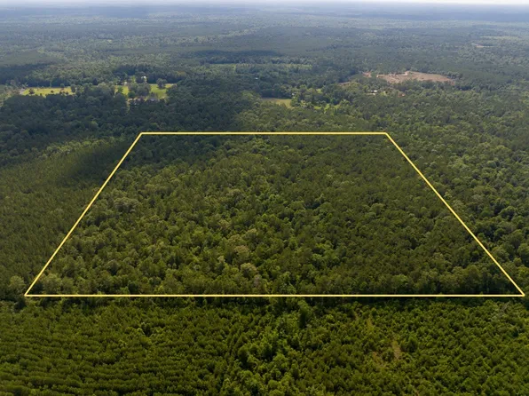 Webb Spikes Rd, Merryville, LA 70653