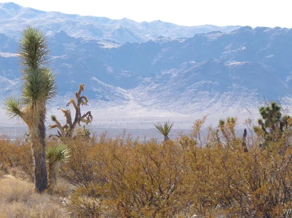 19253 N Pinto Rd, White Hills, AZ 86445