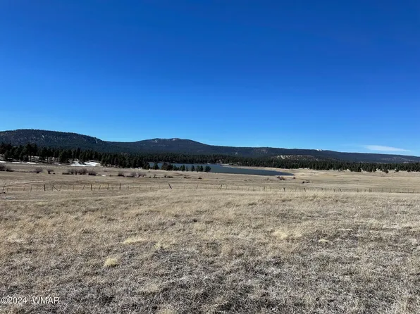 County Road 1126, Greer, AZ 85927