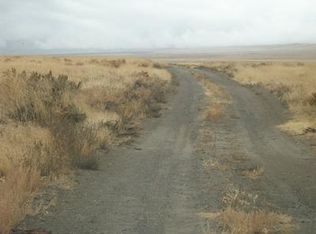 00 Pioneer Rd, Mill City, NV 89418