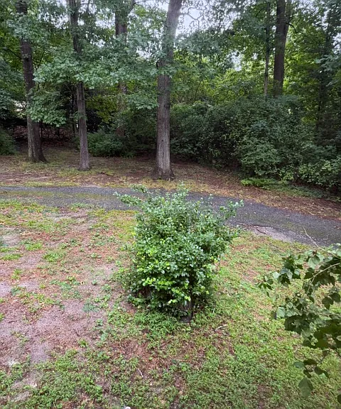 12551 Parker Ln — Photo 11