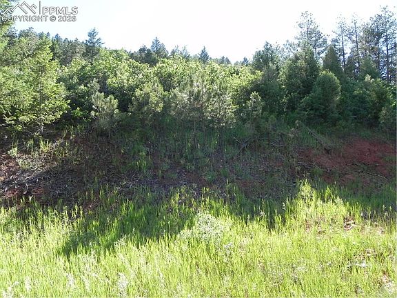 5th image of 8117 Acoma Dr