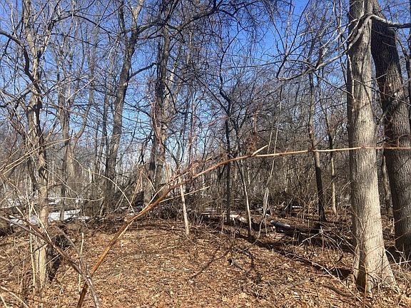 2nd image of 0 Marsden St