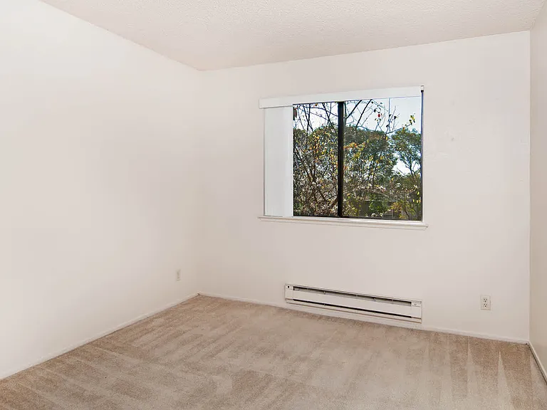 Carpeted Bedroom