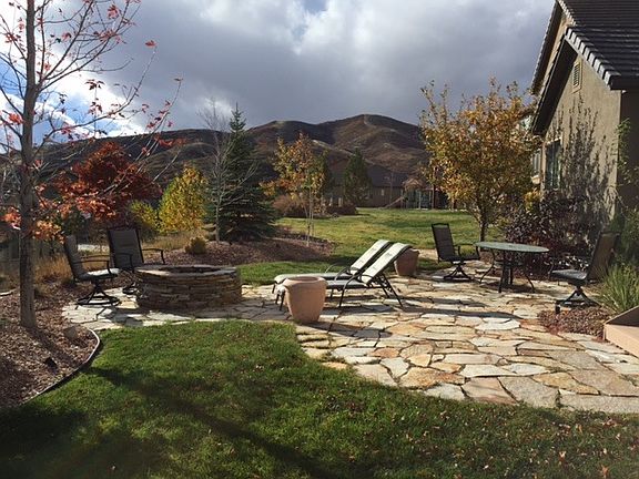 Backyard2