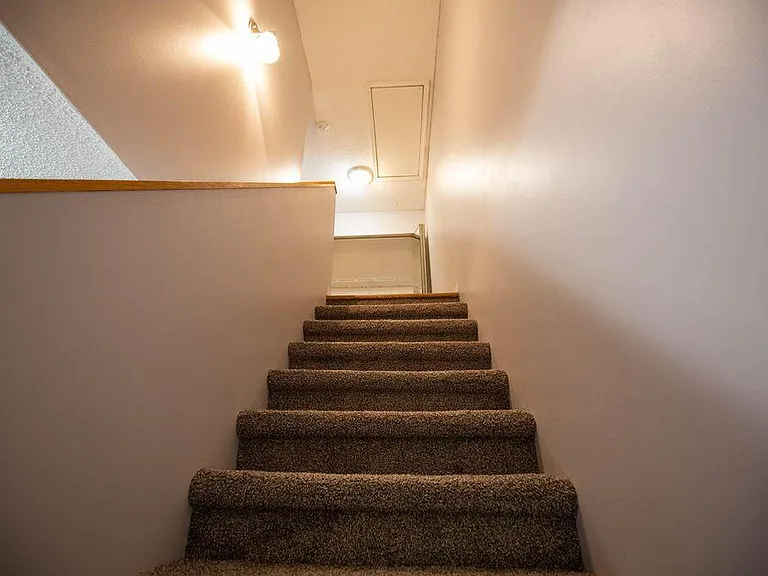 931 Bradley Bell Dr — Photo 14