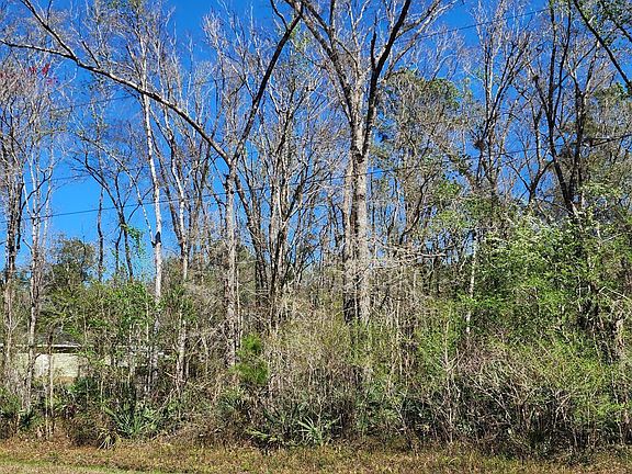 5th image of 9770 E DEEP CREEK Boulevard