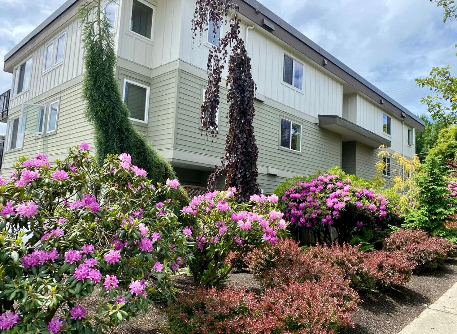 1 Bedroom Apartment in Queen Ann! — Photo 2