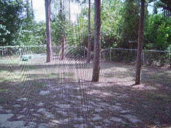 2nd image of 1014 NE 33rd Ln