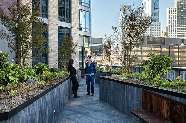 Rented by Gotham Organization | media 38