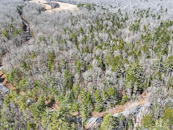 3rd image of 606 Dogwood Rd