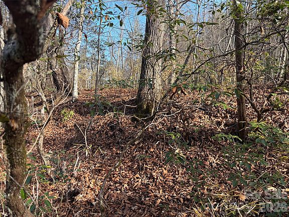 3rd image of 49 Harmony Grove Rd