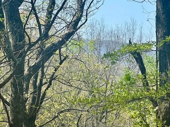 450 Wild Turkey Blf, Jasper, GA 30143