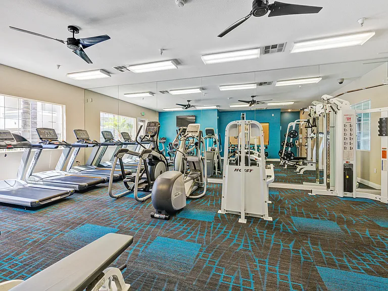 Gym 2