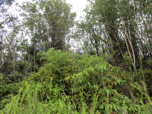 Ala Naulani Rd Lot 84, Volcano, HI 96785