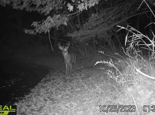 Chestnut St, Montello, WI 53949