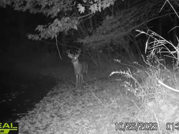 32.32 Acres Chestnut Street, Montello, WI 53949