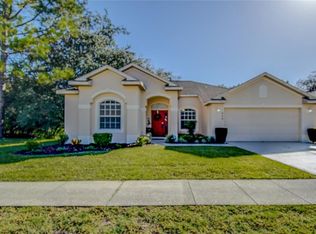 428 Quane Ave, Spring Hill, FL 34609