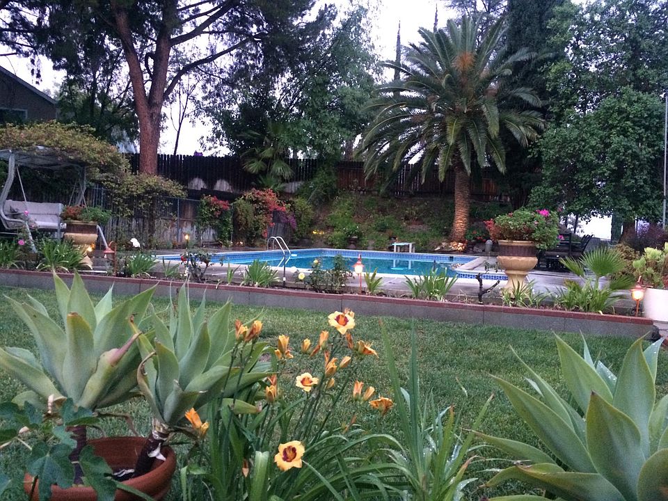 Backyard view from indoors