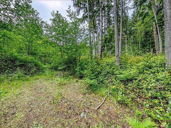 The home site was cleared several years ago.  You can still get a good feel of where your home can be placed. 