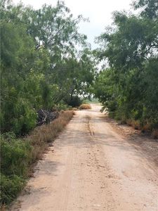 0 La Buba Dr, Edinburg, TX, 78541