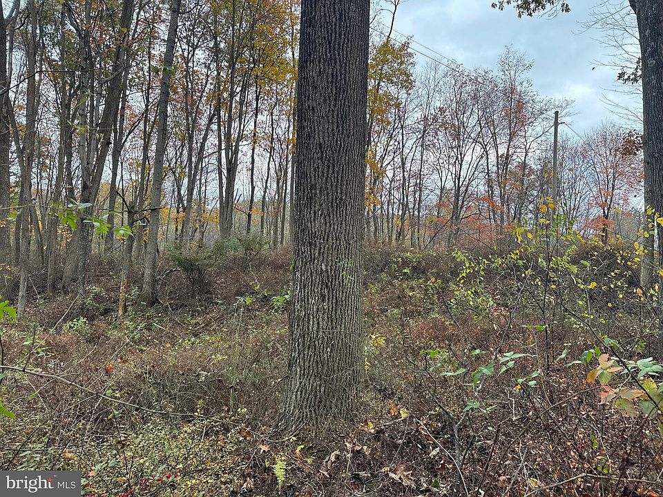 1st image of TRACT 4 135/ Acres