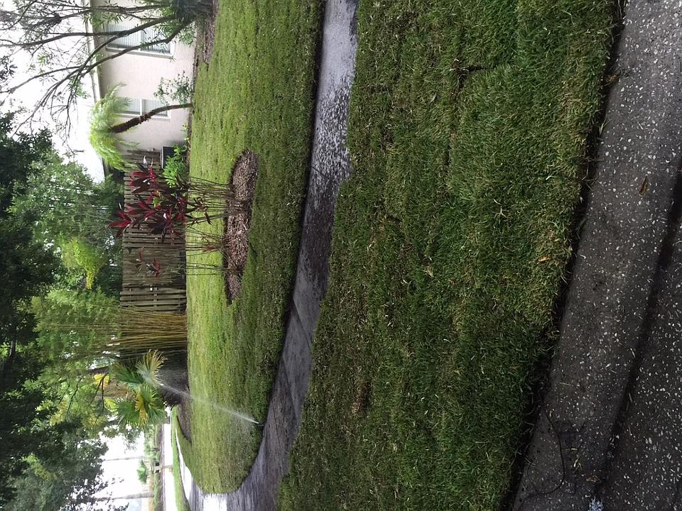 2nd image of 4516 Wild Plum Ln