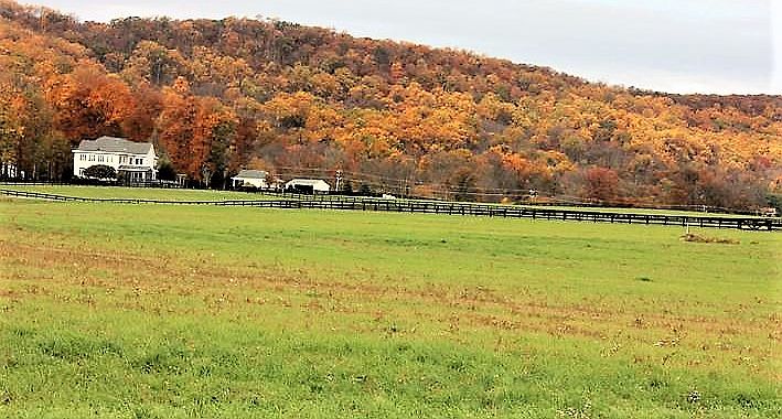 2nd image of Gallop Ln