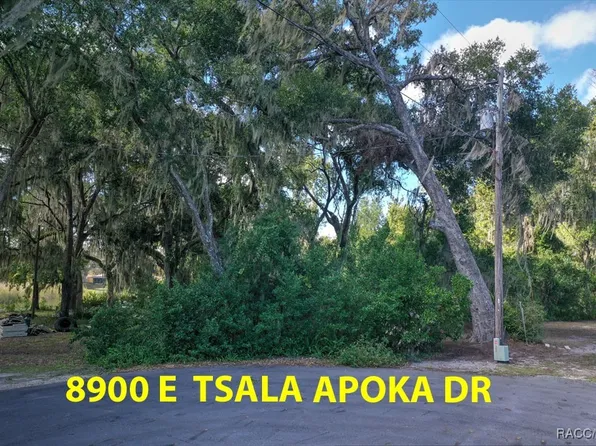 8900 E Tsala Apopka Dr, Inverness, FL 34450