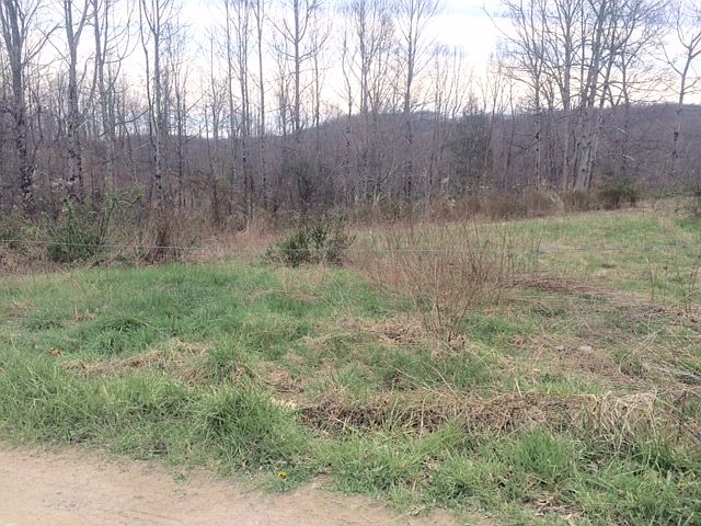 1st image of 00 Kodiak Ln