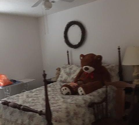 5th image of 25 Lunker Ln