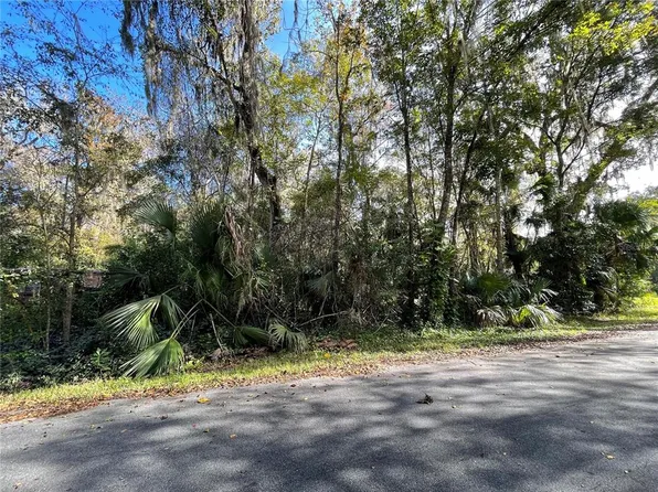 0 County Road 405d #43, Lake Panasoffkee, FL 33538