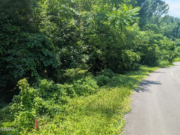 0 Beech Branch Rd, Gatlinburg, TN 37738