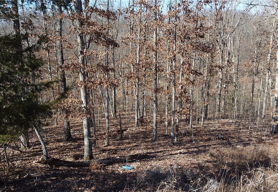 1st image of Bushy Ln #7