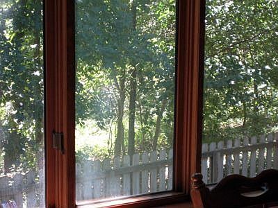 View from Dining