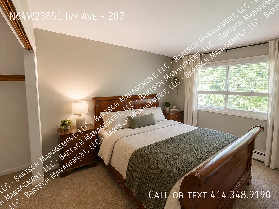 Ivy-207 — Photo 4