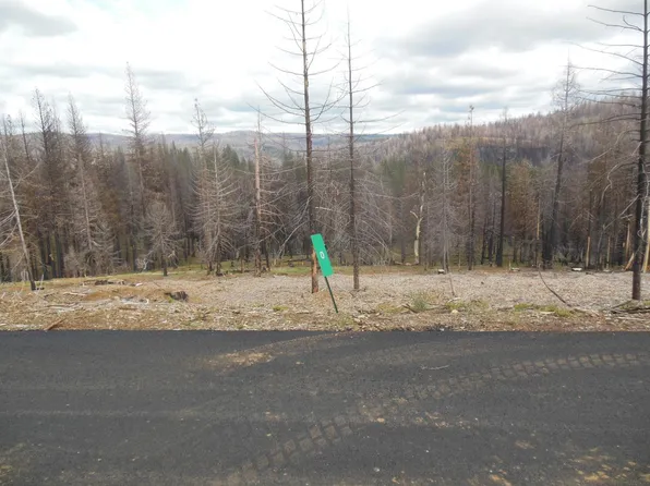 Mount Pleasant Dr, Grizzly Flats, CA 95636