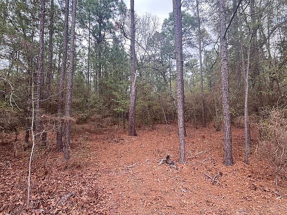 4th image of 0 Edisto Lake Rd