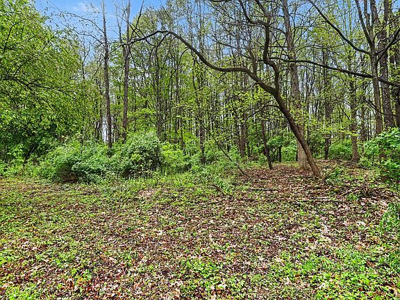 4th image of 9122 Richland Woods Dr