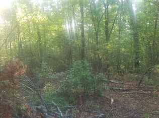 LOT 1 Bluebird Ln, Blue Ridge, GA 30513